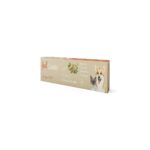 FEELCONDRO PASTA ORAL 30ML WEPET CÃO GATO