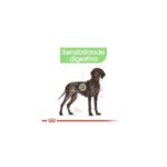 Royal Canin Maxi Digestive Care 12kg - Image 2