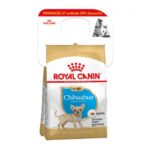 royal canin bipack chihuahua junior 2x05kg wepet cão