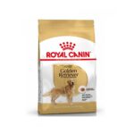 Royal Canin golden retriever 12kg wepet cão