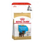 ROYAL CANIN BIPACK YORKSHIRE 2X0,5KG WEPET CÃO