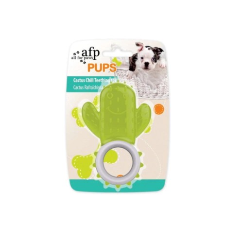 BRINQ. CAO DENTAL CACTUS CHILL 7.5X11.5CM WEPET CÃO