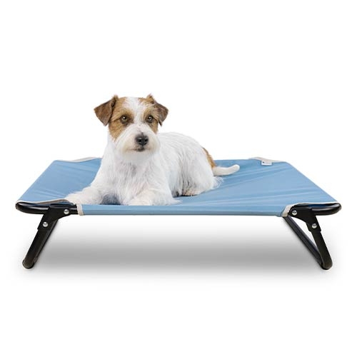 cama elevada on top azul cão wepet