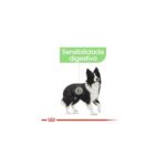 Royal Canin Medium Digestive Care - Image 3