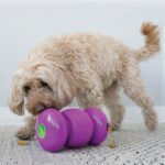 KONG REPLAY TREAT DISPENSER WEPET BRINQUEDO CÃO
