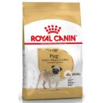 Royal Canin Pug Adult - Image 2