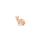 Royal Canin SPHYNX Adult - Image 3