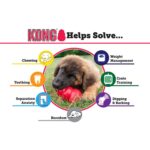 Kong Senior - Image 5