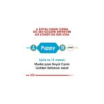 BHN GOLDEN RET JUNIOR 12KG WEPET CÃO