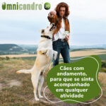 OMNICONDRO 20MG 60CP WEPET