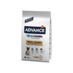 advance french bulldog 7,5kg
