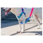ZEE.DOG COOLY SOFT-WALK HARNESS WEPET DOG