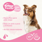 Beaphar Champô Pelo Preto 250ml - Image 4