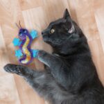 Kong Cat Better Gecko - Image 3