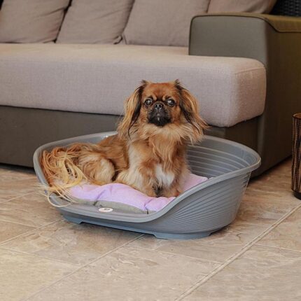 Cama Siesta Deluxe