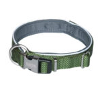 Coleira Classic Preno Royal Verde