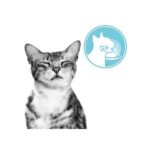 Royal Canin Sensory 85gr - Image 6