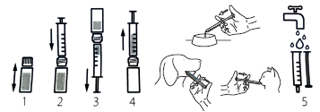 Hyaloral gel_esquema.png
