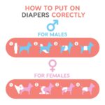 MISOKO REUSABLE DIAPERS FEMALE DOGS W/ SEAHORSES PINK WEPET