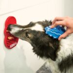 KONG DOG LICKS WEPET
