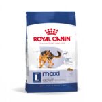 Royal Canin Maxi Adult - Image 11