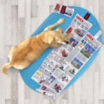 KONG DAILY NEWSPAPER XL (RKDXE) WEPET CÃO