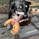 KONG SHERPS FLOOFS MOOSE M (RSPF23E) WEPET CÃO