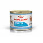 starter mousse royal canin lata 195gr
