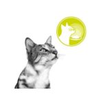 Royal Canin Sensory 85gr - Image 7