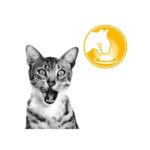 Royal Canin Sensory 85gr - Image 8