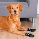Meias para Cão (2 unidades) - Image 4