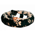 cama sammy
