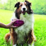 Kong Zoomgroom Boysenberry - Image 2