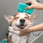 ZOOMGROOM BUBBLES LG WEPET