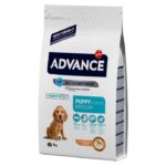 advance medium puppy