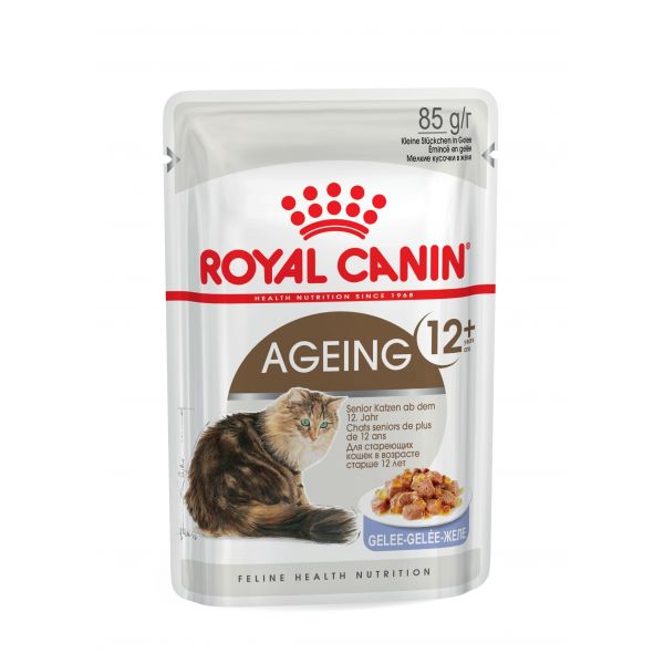 roayl canin +12 jelly 85gr
