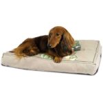 Cama Mr Right Pet Cushion - Image 4