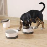 Pet Food Kit Nómada wepet
