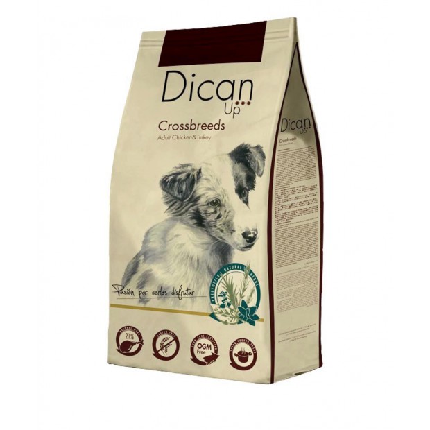 Dican Up CROSSBREEDS WEPET CÃO