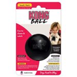 kong extreme ball