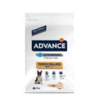 advance french bulldog