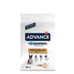 Advance French Bulldog 7,5Kg - Image 2