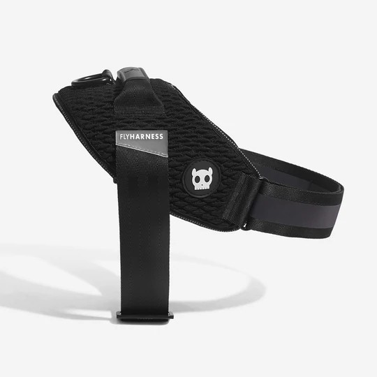 zee.dog gotham flyharness