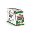 royal canin mini ageing 85gr