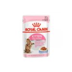 royal canin kitten sterilised jelly
