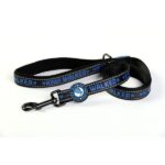 kiwi walker trela azul