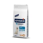 advance dog maxi adult 14kg wepet