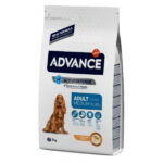 advance medium adult