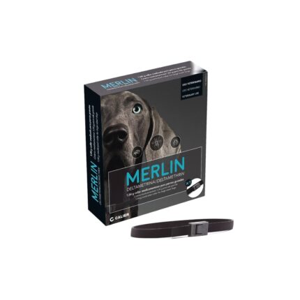 merlin 65cm 1 un