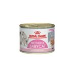 royal canin mother and baby cat 195gr